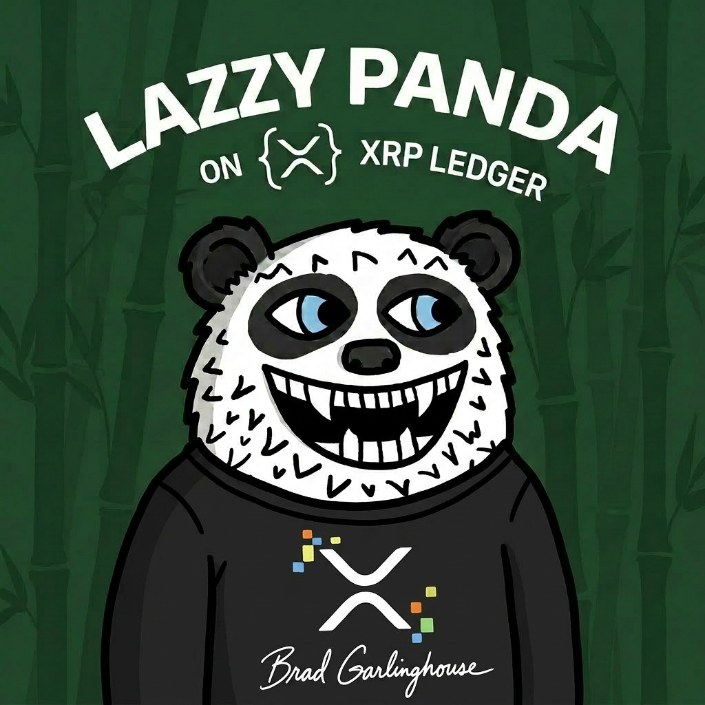 XRP Giveaway Hoodie